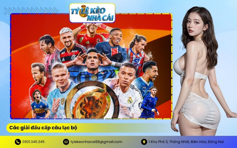 Các giải đấu cấp câu lạc bộ