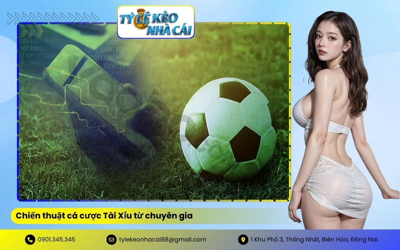 Chiến thuật cá cược Tài Xỉu từ chuyên gia